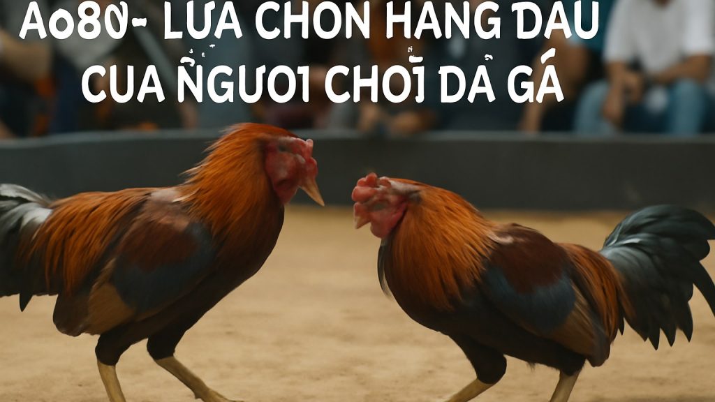 Minh họa: Ao88 - Lựa Chọn Hàng Đầu Của Người Chơi Đá Gà